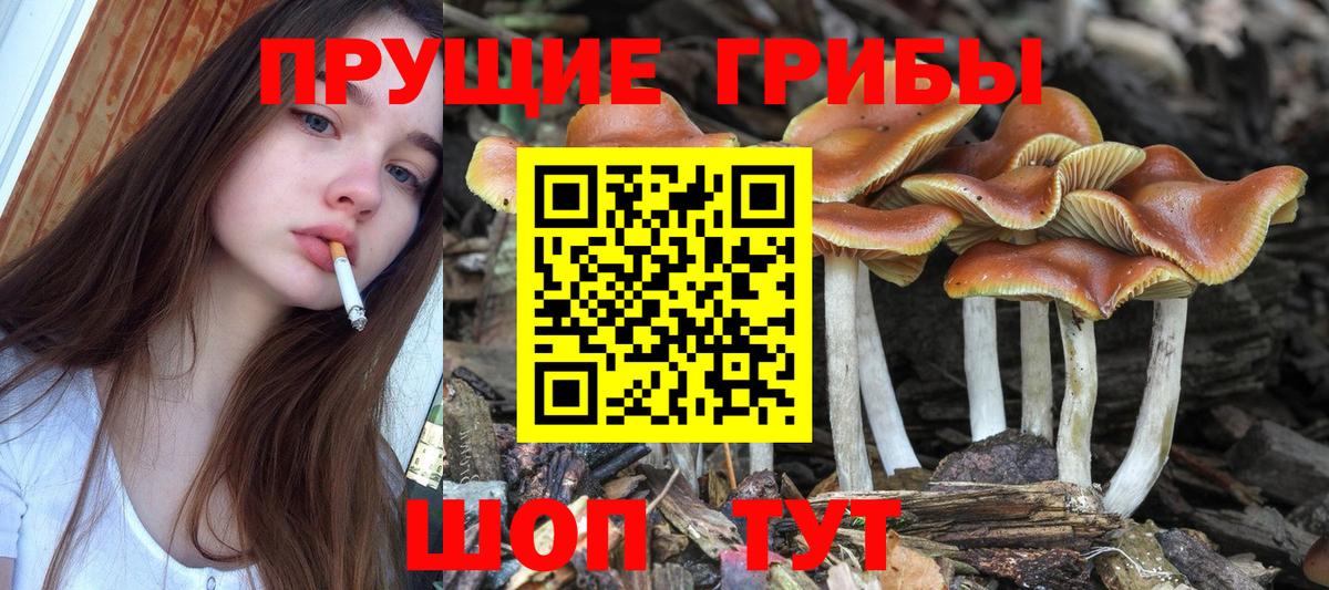 Псилоцибиновые грибы мухоморы Альметьевск