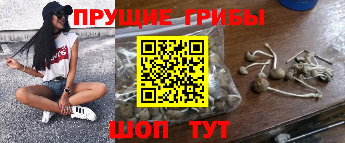 Галлюциногенные грибы ЛСД  Псилоцибиновые грибы GOLDEN TEACHER  Альметьевск  Вход с VPN 